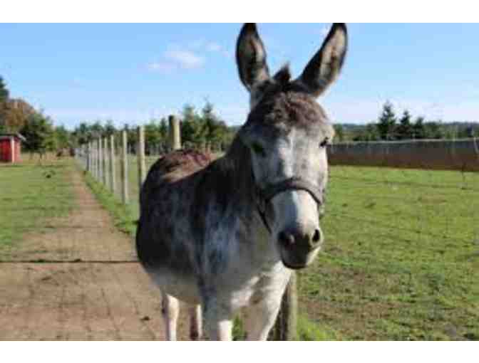 Two Nights in Portland and a Guided Tour of Green Acres Farm Sanctuary