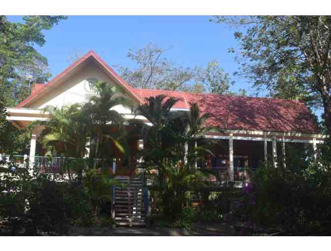 Vietnam Elephant Sanctuary Experience