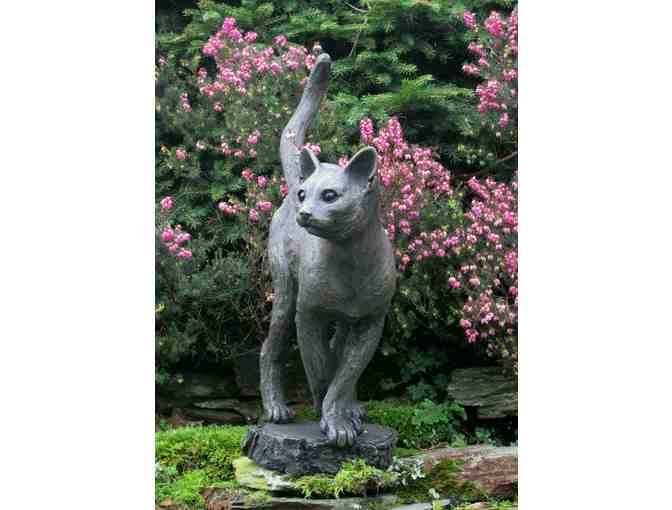 Sculpting Class with Suzie Marsh in Cornwall, England