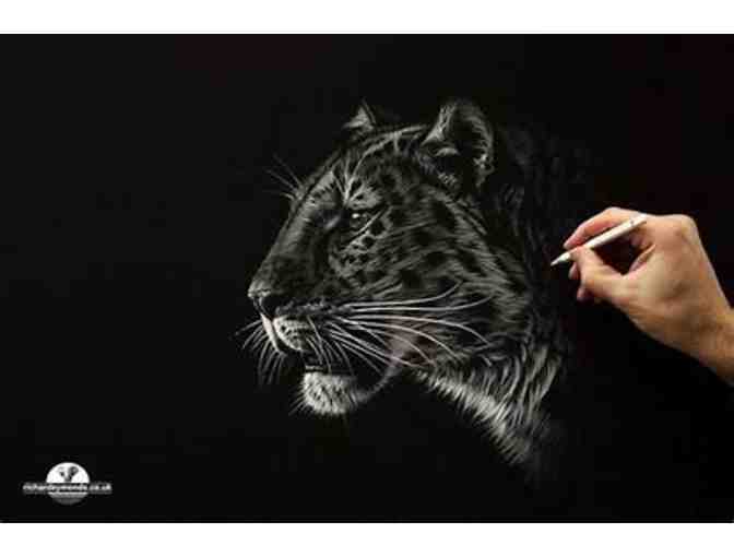 Half Day Wildlife Photography/Art Lesson with Renowned Wildlife Artist Richard Symonds
