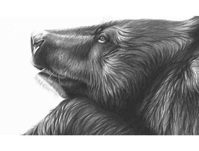 Half Day Wildlife Photography/Art Lesson with Renowned Wildlife Artist Richard Symonds