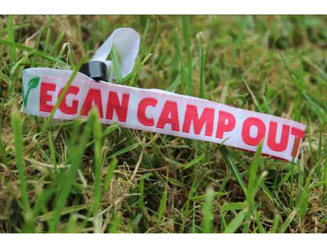 Two Tickets to Vegan Camp Out UK 2020