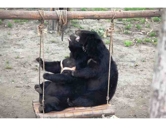 Bear Enrichment Goodies