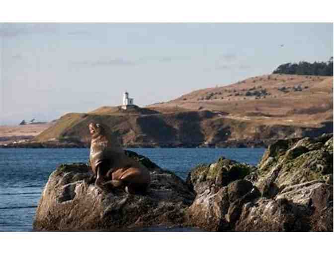 San Juan Island Get Away