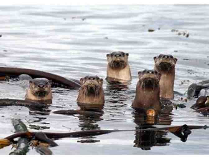 San Juan Island Get Away