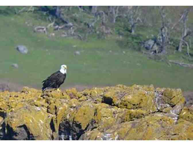 San Juan Island Get Away