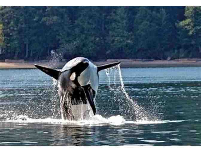 San Juan Island Get Away