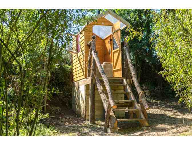 Family Pass to The Eden Project in Cornwall with 3-Night Yurt Stay