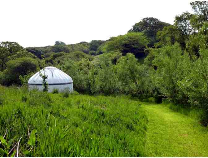 Family Pass to The Eden Project in Cornwall with 3-Night Yurt Stay