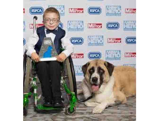 2 Tickets to the 2020 Animal Hero Awards in London and a $380 Hotel Gift Voucher