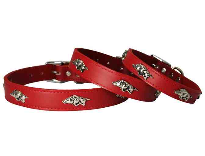 Arkansas Razorback Dog Essentials Set- Size Small