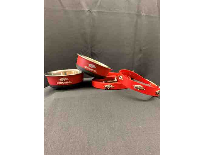 Arkansas Razorback Dog Essentials Set- Size Small