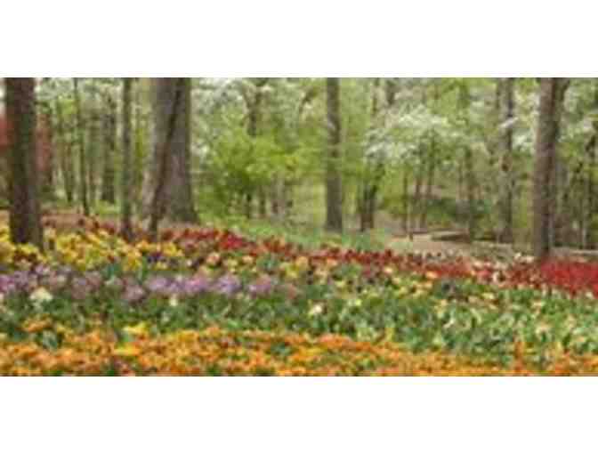 Garvan Woodland Gardens One Day Passes (6)