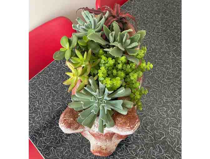 Pig Planter with Succulents