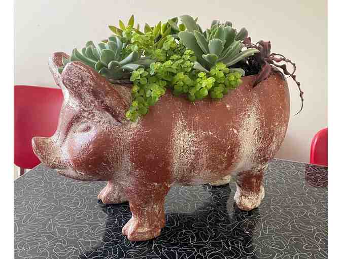 Pig Planter with Succulents