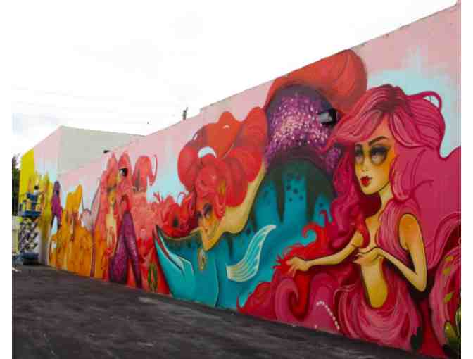 Private Guided Tour of Downtown Hollywood's Mural's (Hollywood, FL)