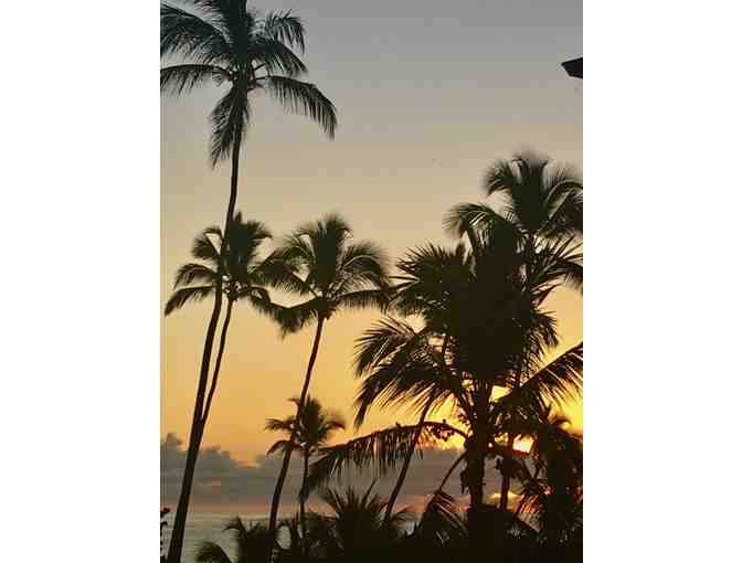 Stay at VIK hotel ARENA BLANCA or VIK hotel CAYENA BEACH, Punta Cana, Dominican Republic