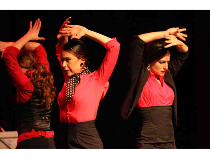 Flamenco Dance Class for 10