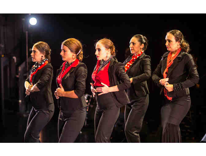 Flamenco Dance Class for 10