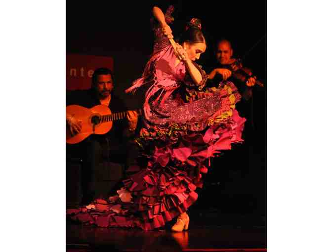 Flamenco Dance Class for 10