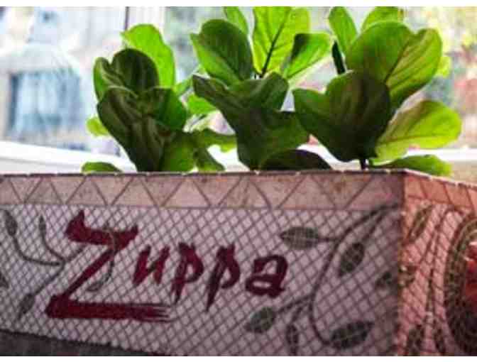 Zuppa Italian Restaurant