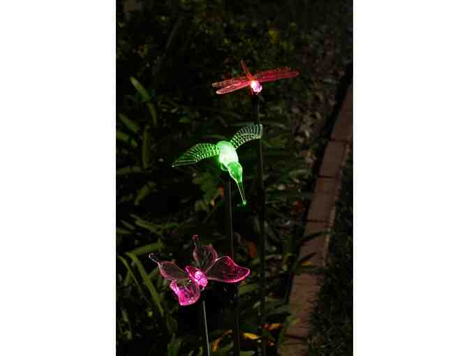 Solar Decorative LED Lights - 3 Pc