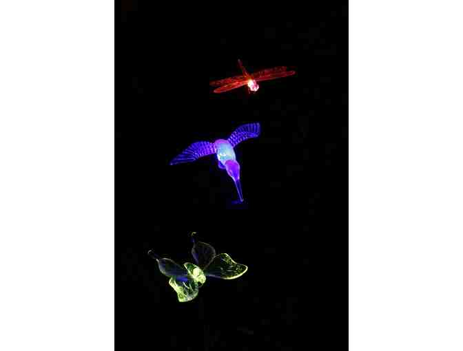 Solar Decorative LED Lights - 3 Pc