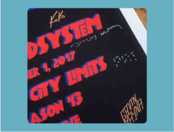 LCD Soundsystem Autographed Poster (S43), Framed