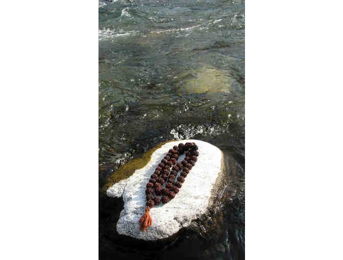 Sacred Rudraksha Mala (54 beads) Blessed in Haidakhan