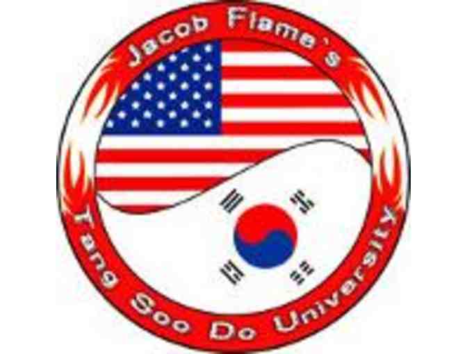 Tang Soo Do University - One (1) day Summer Camp Pass (1 of 3)