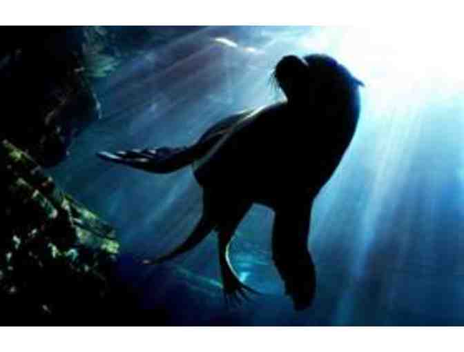 Aquarium of the Pacific in Long Beach - Two (2) Passes