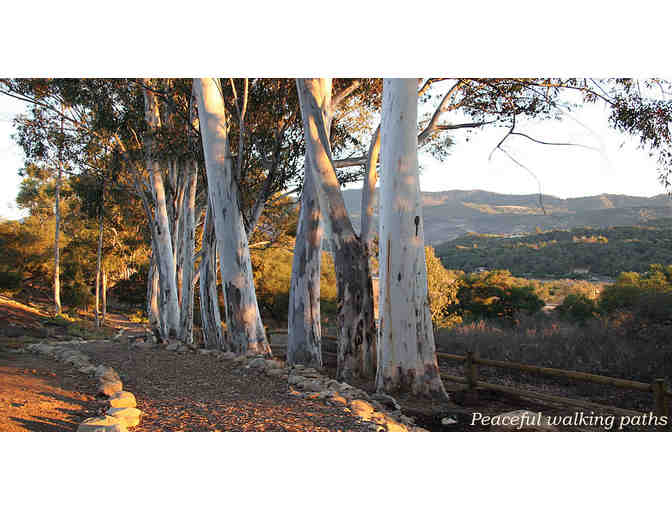 Room 13 - Ojai Romance Package