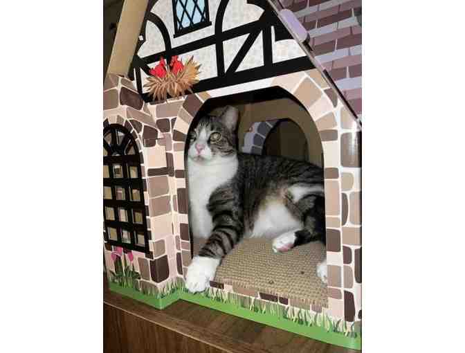 Frisco Tudor House Cardboard Cat House