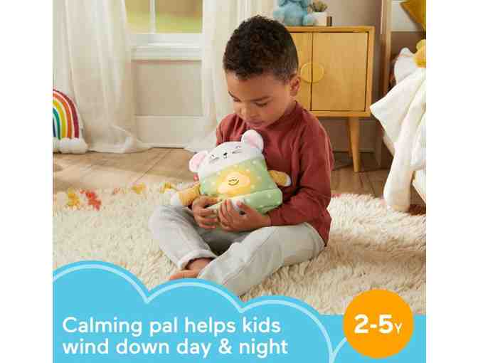 Fisher-Price Meditation Mouse