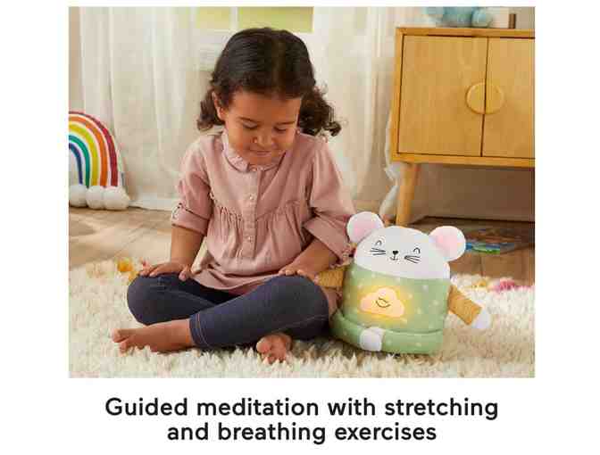 Fisher-Price Meditation Mouse
