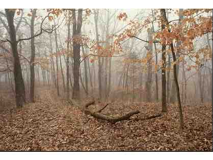 Two Day Deer and Hog hunt on the Mississippi River Near Scott, MS. for three hunters