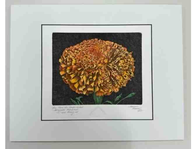 'La Flur de Cempasuchil' #16/100 Fine Etching and Watercolor by Marina Terauds