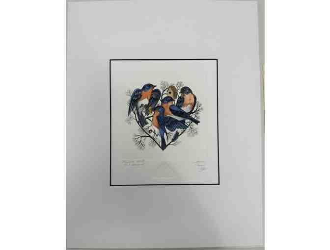 'Bluebird Heart' A.P. II Fine Etching and Watercolor by Marina Terauds