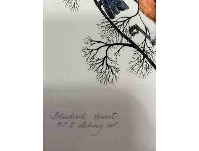 'Bluebird Heart' A.P. II Fine Etching and Watercolor by Marina Terauds