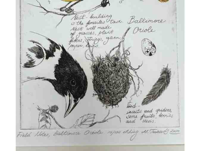 'Baltimore Oriole' #10/100 Fine Etching and Watercolor by Marina Terauds