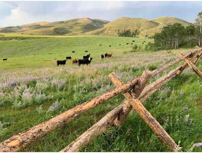 Two night stay at the Fox Hills Ranch in Soda Springs, Idaho (#2)