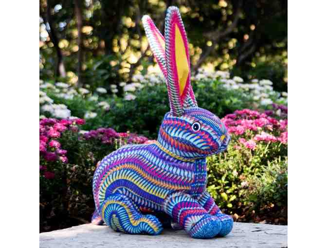 Medium Rabbit Brijeluche (Luz) - Medium