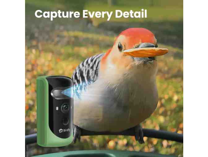 Birdfy 2 Pro-Bird Feeder