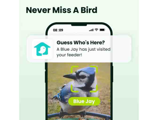 Birdfy 2 Pro-Bird Feeder