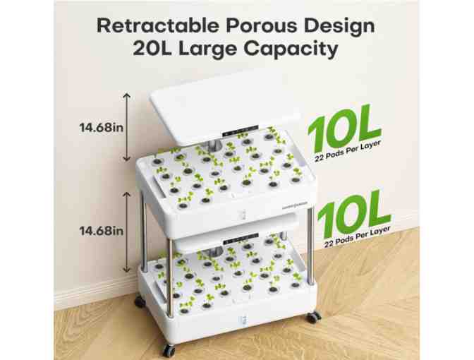 Hydroponics Growing System Indoor Garden