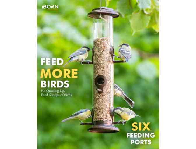 iBorn Metal Bird Feeder