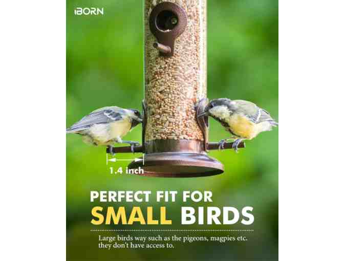 iBorn Metal Bird Feeder