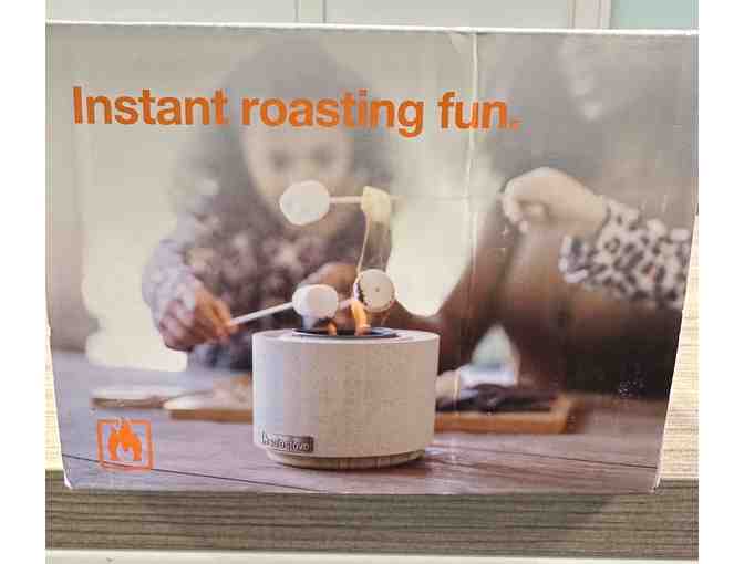 Fieldview Solo Stove (1)