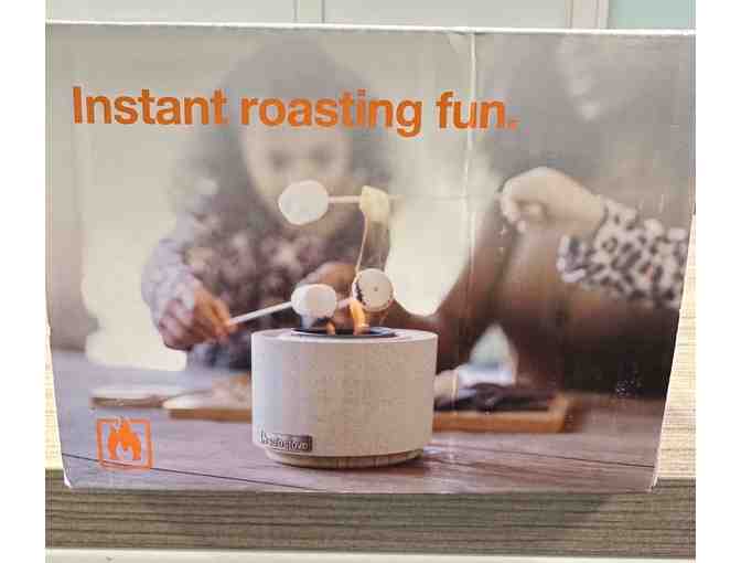 Fieldview Solo Stove (2)