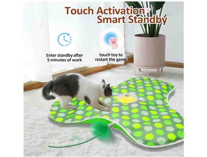 Purr-fectly Pawsome Cat-tastic Basket